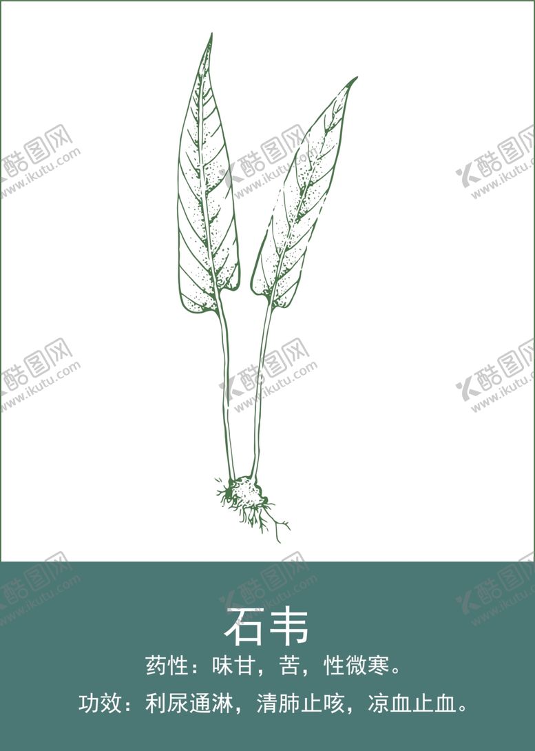 编号：67772801140937069115【酷图网】源文件下载-中药手绘插画