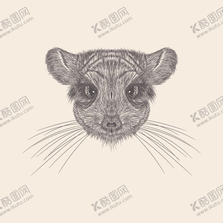 编号：59491810070841239883【酷图网】源文件下载-动物铅笔画