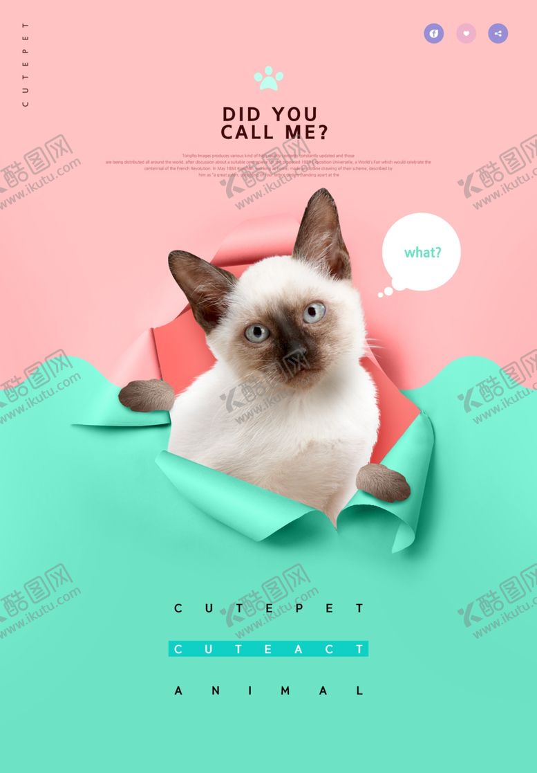 编号：38053609230512228073【酷图网】源文件下载-狗狗促销海报设计