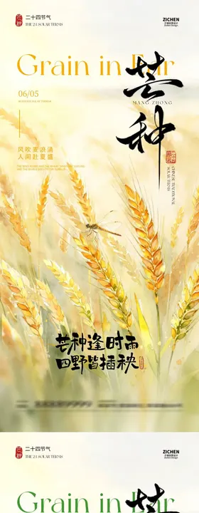 芒种节气简约意境插画海报