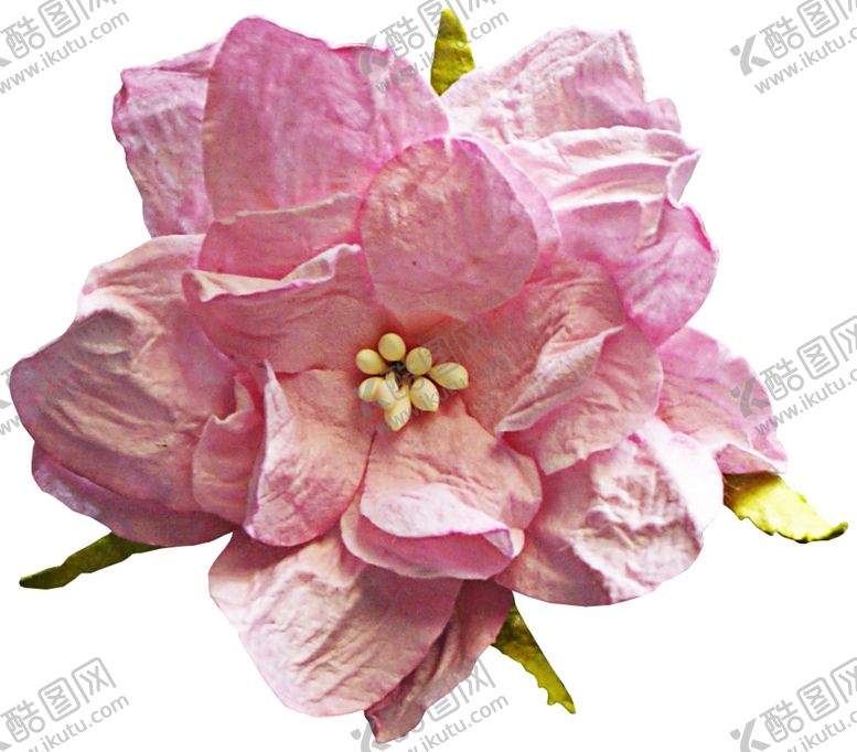 编号：36209210091210502928【酷图网】源文件下载-哥特风花朵图案