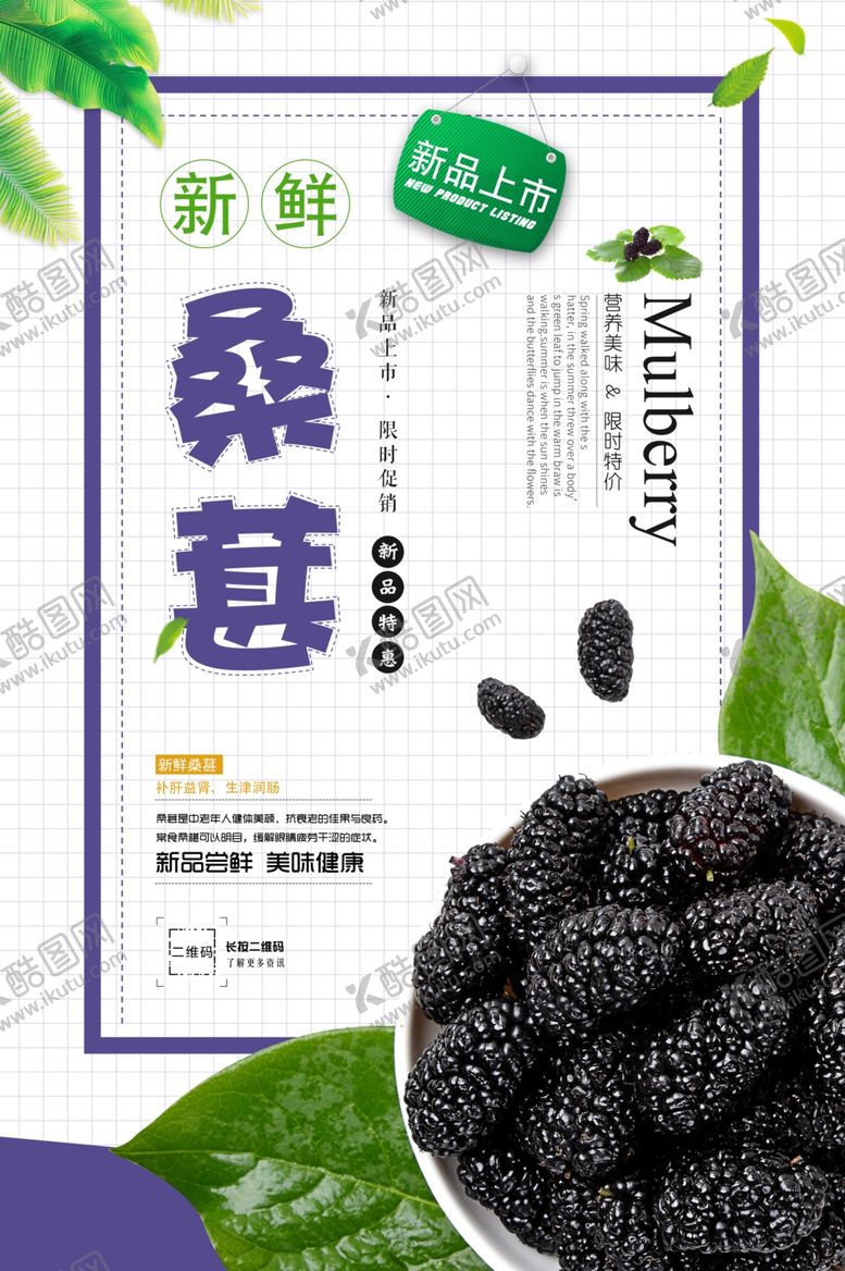 编号：98769510070618503234【酷图网】源文件下载-桑葚