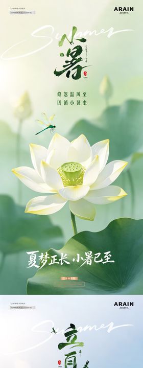 地产立夏小暑荷叶风景海报
