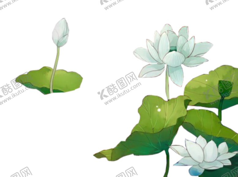 编号：84968106282157059001【酷图网】源文件下载-荷花元素