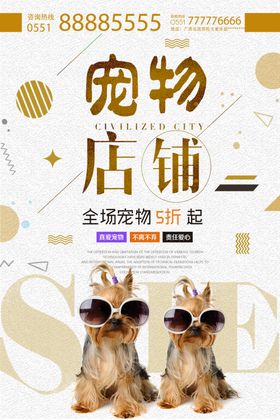 宠物海报