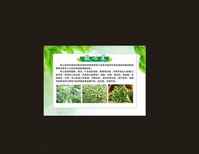 绿色展板