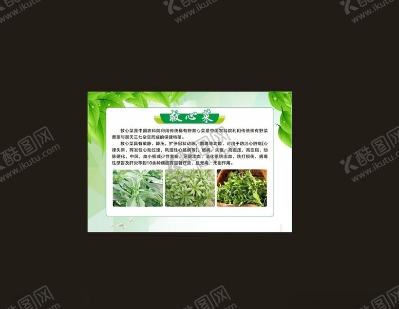 编号：46351610032017518979【酷图网】源文件下载-绿色展板