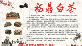 海南精选白茶茶叶不干胶贴纸图片