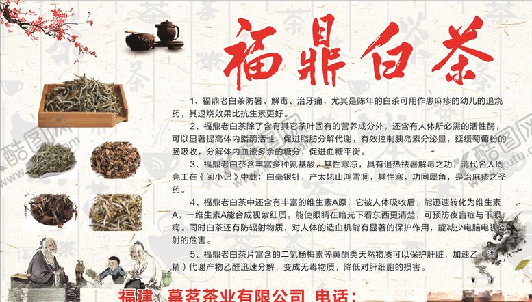 编号：80489307061235267279【酷图网】源文件下载-福鼎白茶茶叶图片