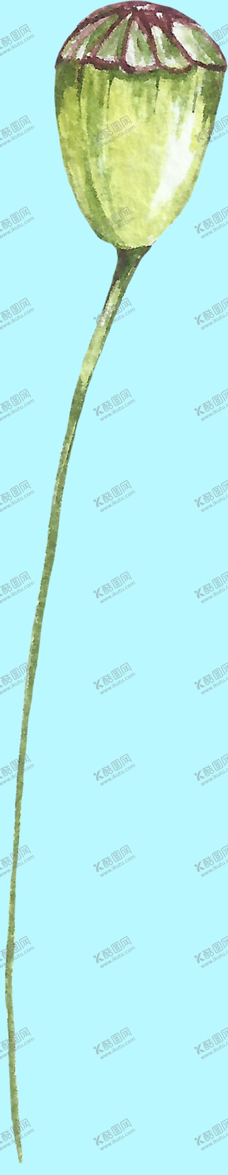编号：69359507121922298428【酷图网】源文件下载-花卉树叶