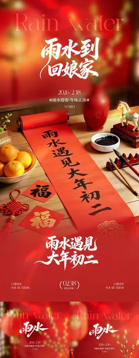 马年雨水初二回娘家喜庆场景海报