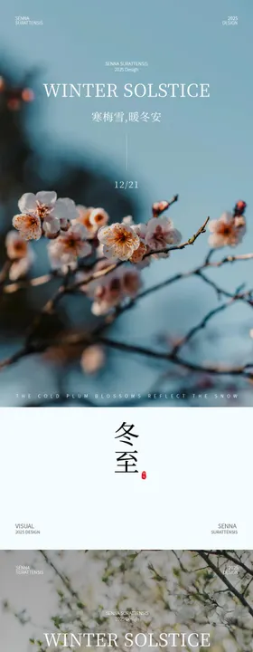 冬至节气风景海报