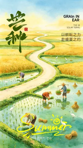 芒种海报