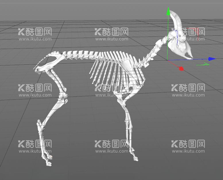 编号：93539702162134559951【酷图网】源文件下载-C4D模型骨头