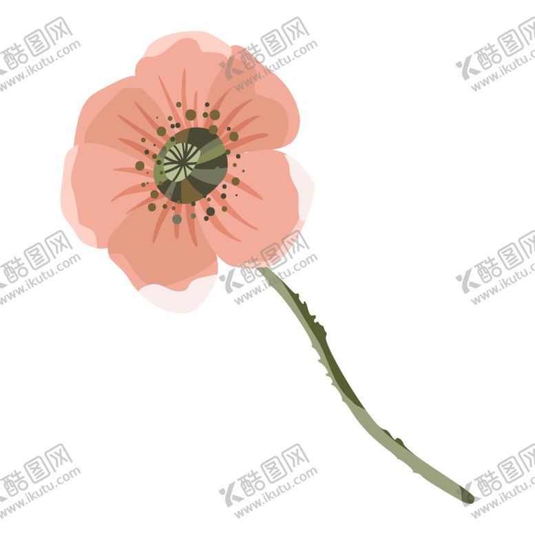 编号：84582907070506278302【酷图网】源文件下载-森系花枝
