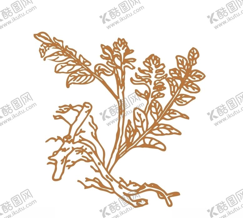 编号：79839110131213112242【酷图网】源文件下载-药材线稿
