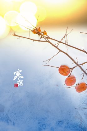 寒露活动传统宣传