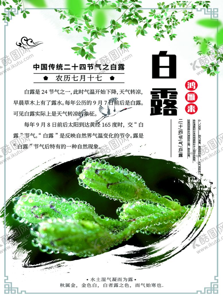 编号：03124910020803181429【酷图网】源文件下载-白露