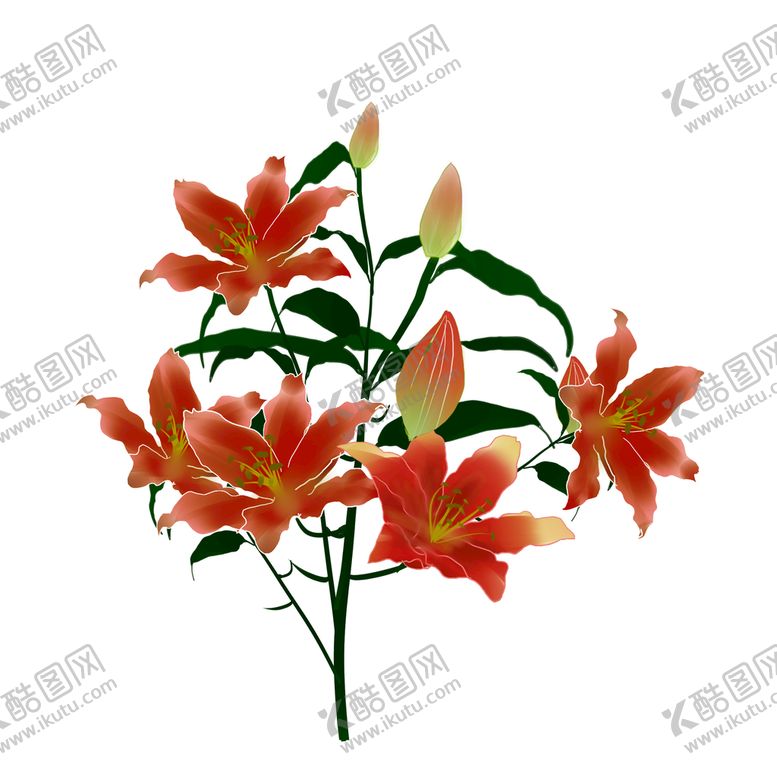 编号：02891510082021133872【酷图网】源文件下载-百合花