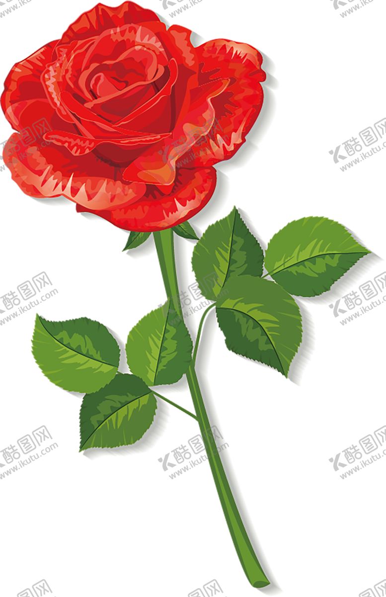 编号：57012705182318111350【酷图网】源文件下载-鲜花素材