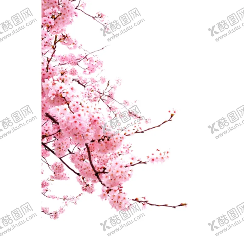 编号：60907904180544566698【酷图网】源文件下载-桃花