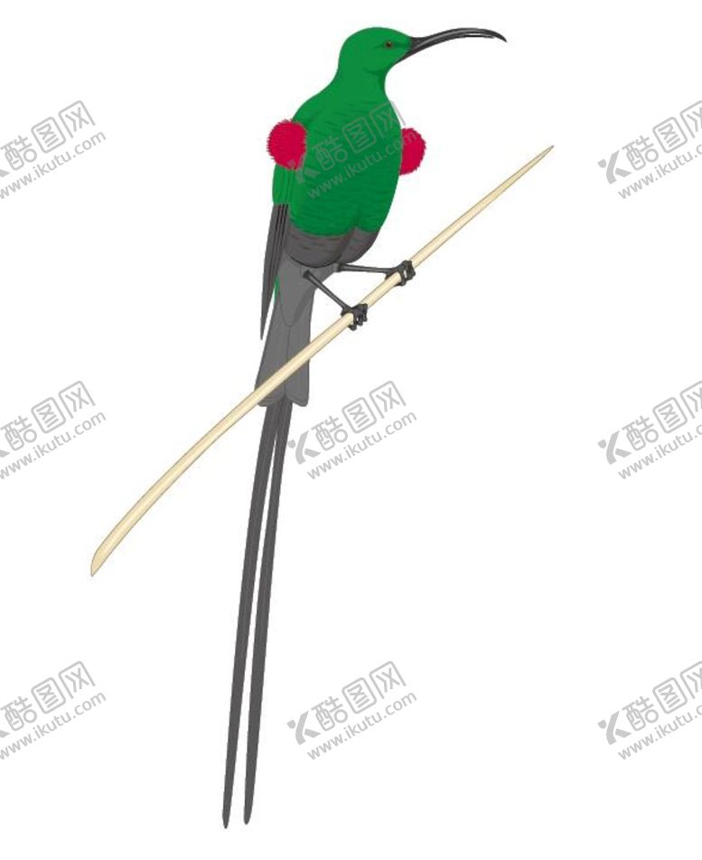 编号：81159911170541499795【酷图网】源文件下载-鸟类