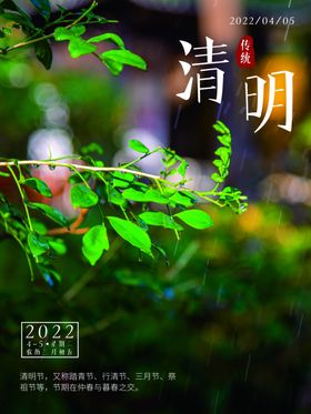 清明节海报宣传单来了创意