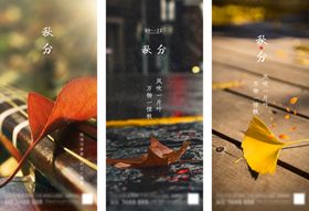 简约秋分底图设计