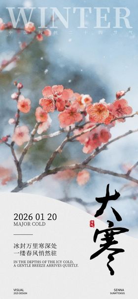 大寒腊梅节气海报