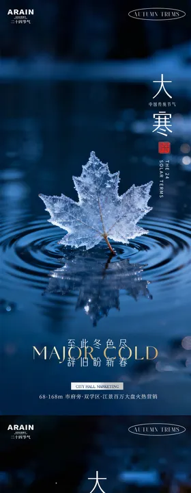 地产大寒节气梅花风景海报