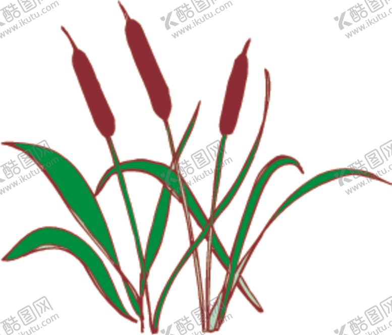 编号：27045406232301004315【酷图网】源文件下载-芦苇