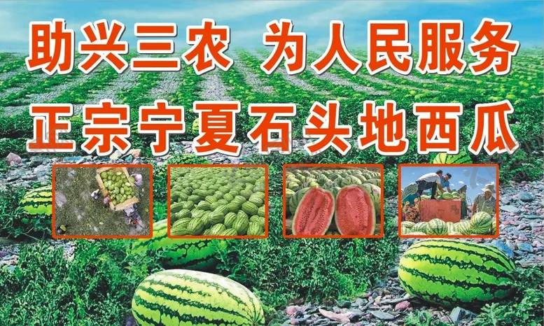 编号：80765410091001398062【酷图网】源文件下载-宁夏西瓜