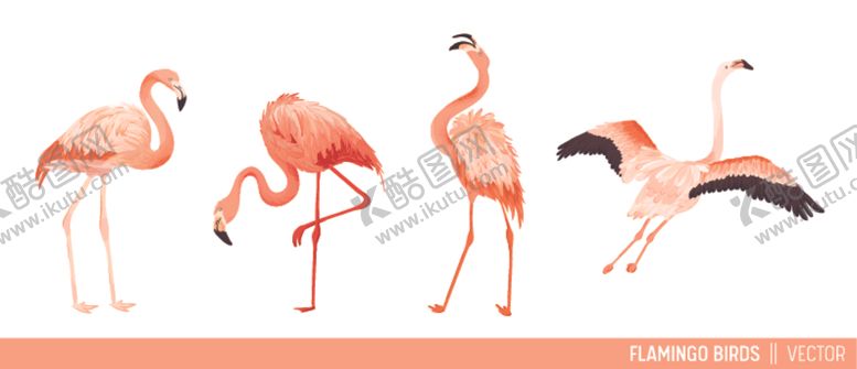 编号：33725410311858193336【酷图网】源文件下载-火烈鸟
