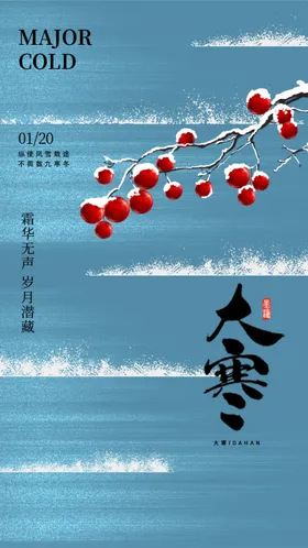 大寒海报