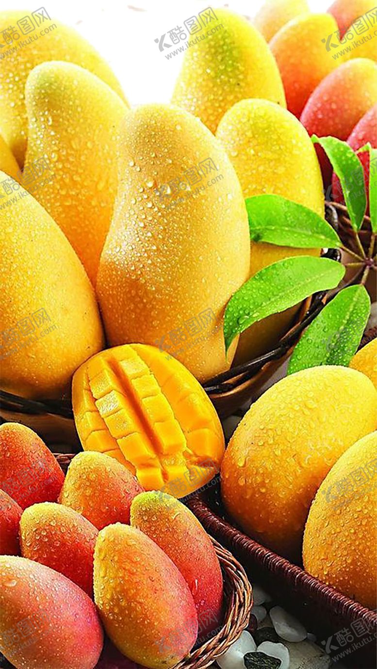 编号：47742109090420296678【酷图网】源文件下载-水果