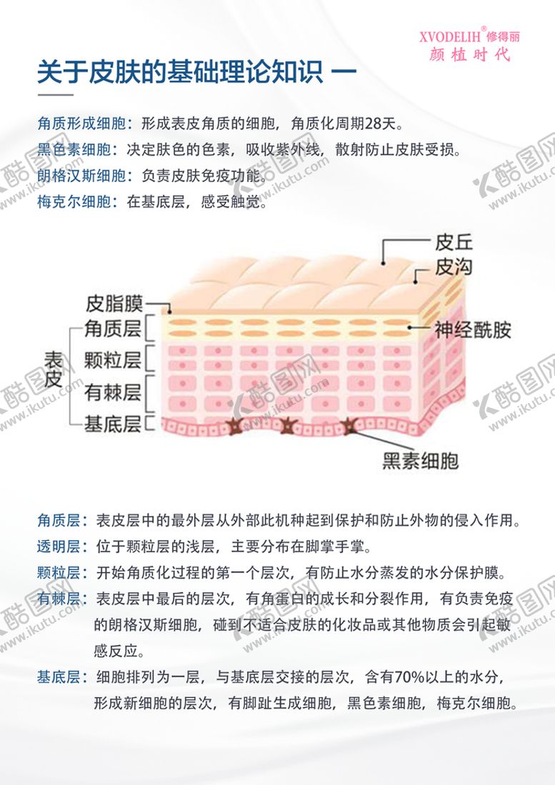 编号：23184610111555564750【酷图网】源文件下载-关于皮肤的基础知识一