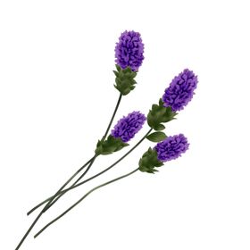 免抠背景干花枯花