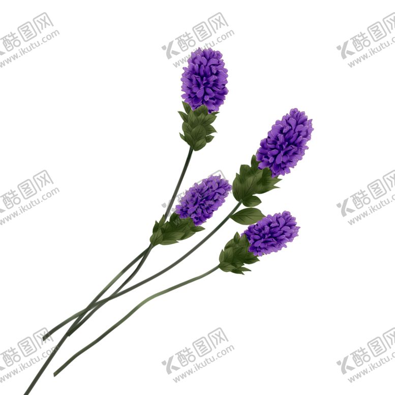 编号：35375709190849179675【酷图网】源文件下载-免抠背景干花枯花