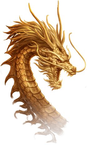 中国风金色龙元素