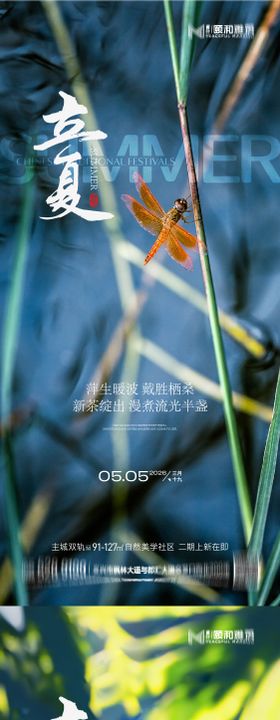 立夏节气节日海报二十四