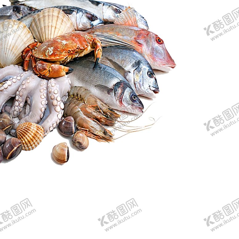 编号：89002705111339564696【酷图网】源文件下载-海鲜海报