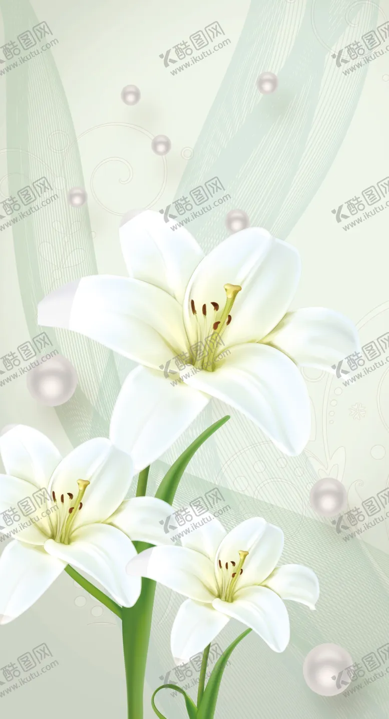 编号：71498504271745183760【酷图网】源文件下载-花卉玄关