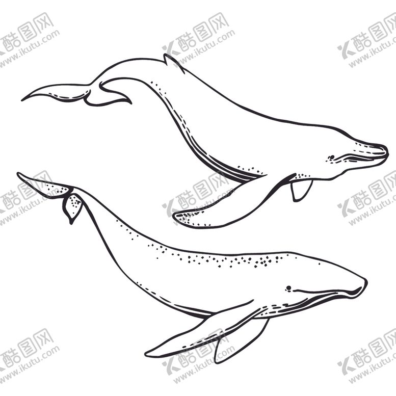 编号：75171810052228267986【酷图网】源文件下载-炫彩渐变鲸鱼图案