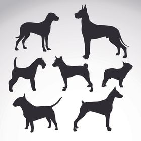 狗DOG动物卡通