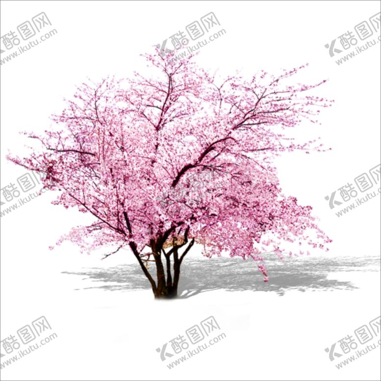编号：99791304232123001023【酷图网】源文件下载-樱花装饰素材