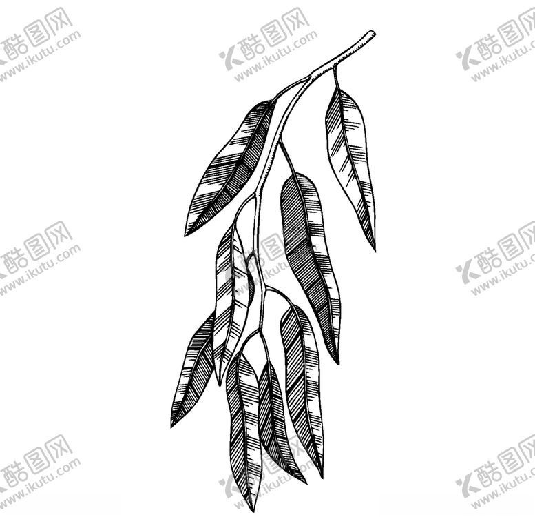 编号：38834910130544185565【酷图网】源文件下载-手绘植物