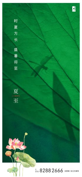 夏至