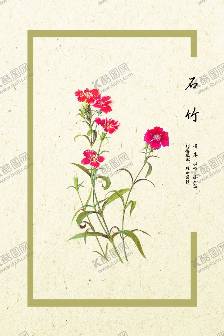 编号：87807909241352455416【酷图网】源文件下载-石竹