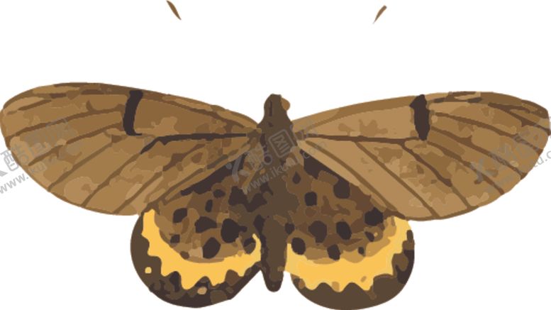 编号：82411009172015475351【酷图网】源文件下载-蝴蝶昆虫插画