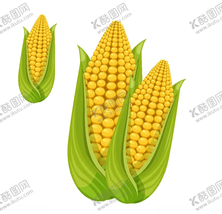 编号：68527703230451105714【酷图网】源文件下载-矢量手绘画玉米包谷
